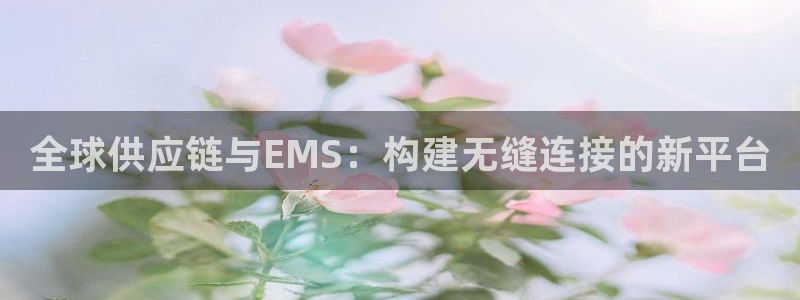 多多28忘记账号：全球供应链与EMS