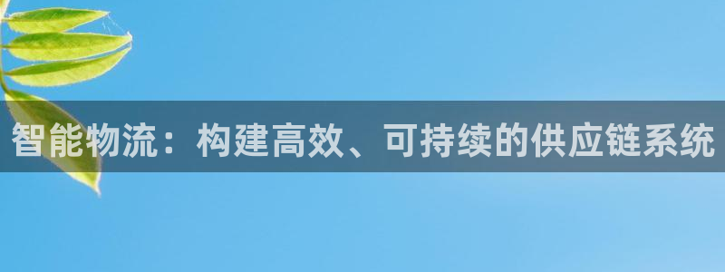 多多28推广链接是多少：智能物流：构