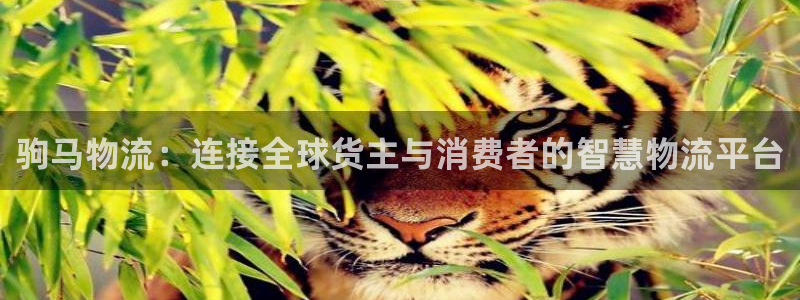 多多28注册问一问：驹马物流：连接全