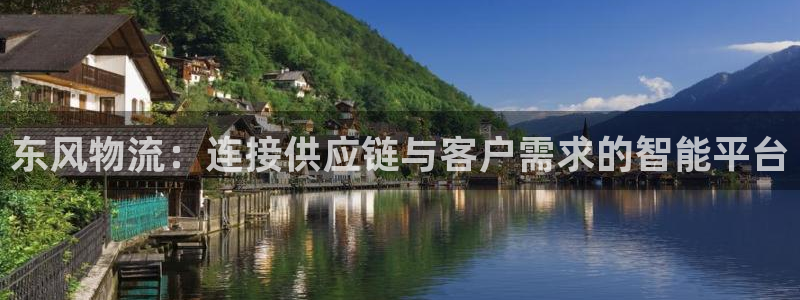 多多28怎么下载教程：东风物流：连接
