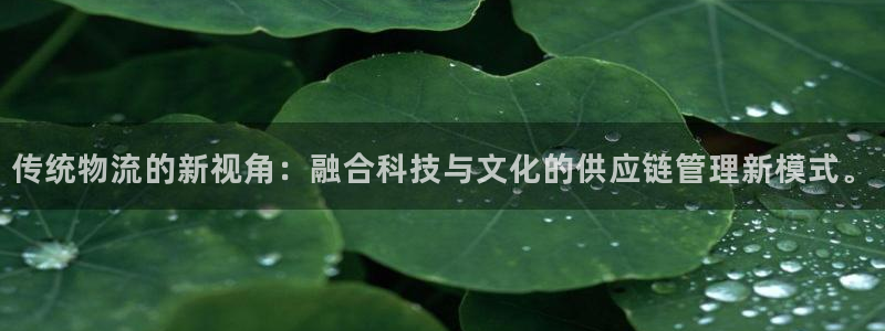 多多28能提现吗：传统物流的新视角：