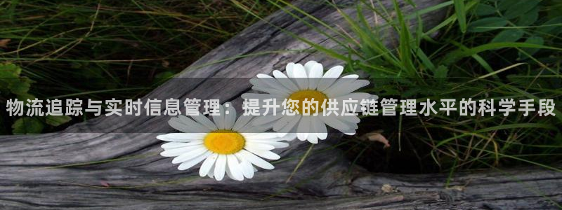 多多28pg麻将胡了2老是空转：物流