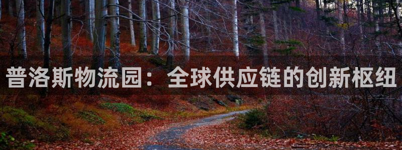 多多28口：普洛斯物流园：全球供应链