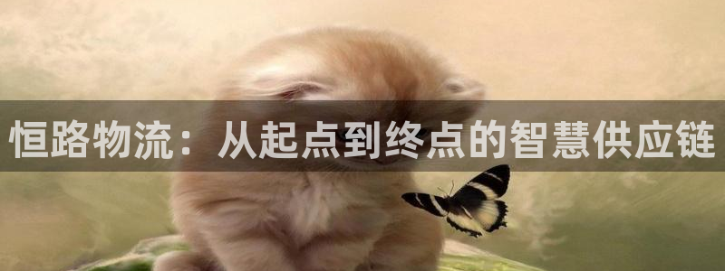 多多28加拿大技巧