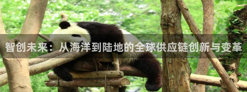 多多28app怎么注册账号：智创未来