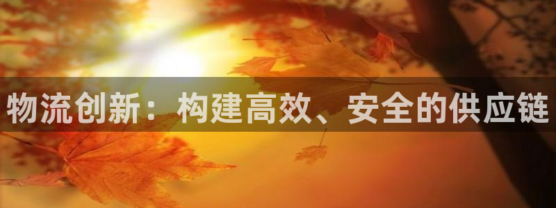 多多28p图上分下款通道：物流创新：