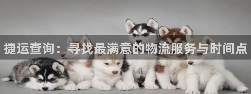 多多28网赌有什么风险：捷运查询：寻