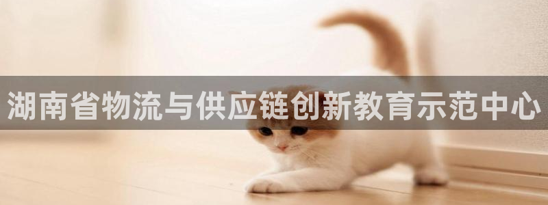 多多28官网入口正版：湖南省物流与供
