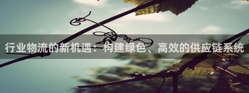 多多28软件是诈骗吗：行业物流的新机