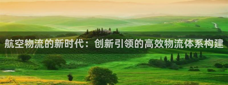 多多28注册登录链接流程：航空物流的