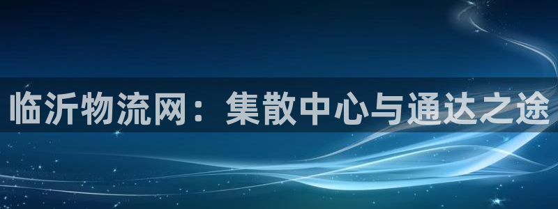 多多28登录：临沂物流网：集散中心与