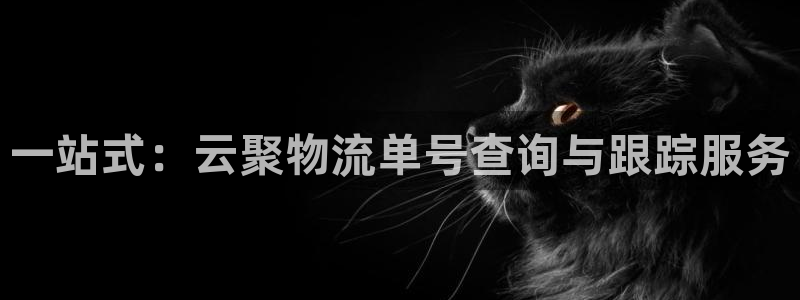 多多28的自行车：一站式：云聚物流单号查询与跟踪服务