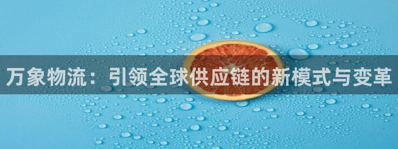 多多28PG电子游戏：万象物流：引领全球供应链的新模式与变革
