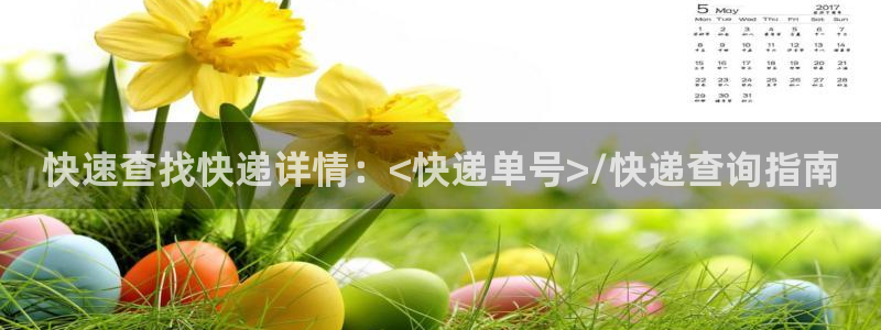 多多28注册入口与教程：快速查找快递