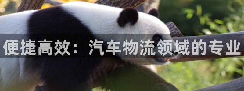 多多28官网入口pcios：便捷高效