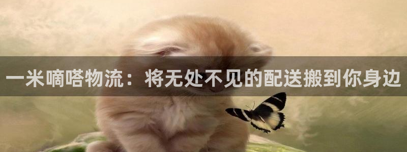 多多28能不能退：一米嘀嗒物流：将无