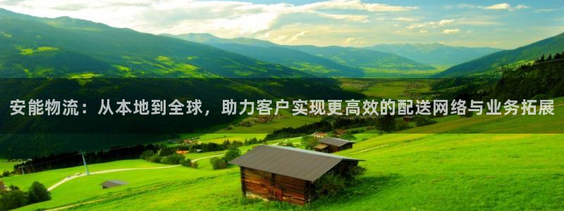 多多28注册登录：安能物流：从本地到全球，助力客户实现更高效