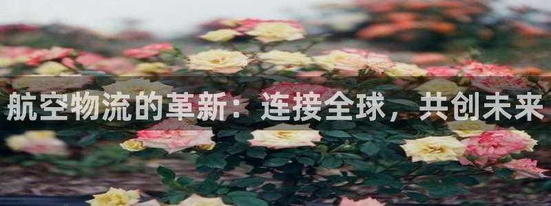 多多28链官网：航空物流的革新：连接