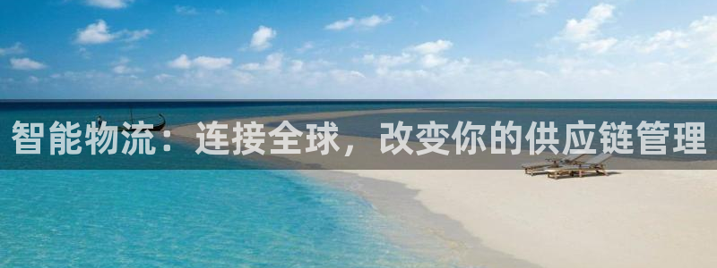 多多28官网入口2024：智能物流：