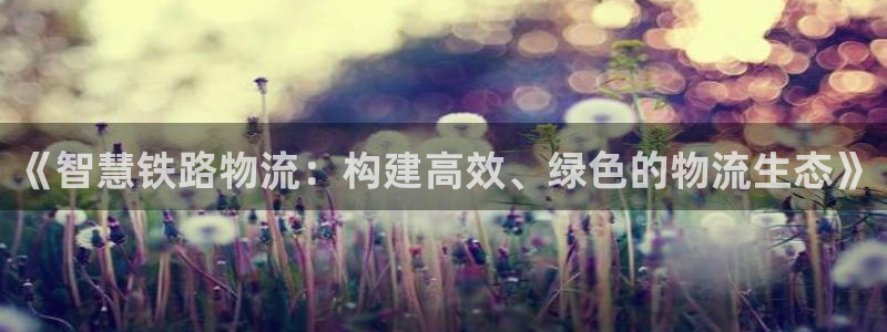 多多28加拿大技巧：《智慧铁路物流：