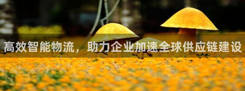 多多28v6能卖多少:高效智能物流,