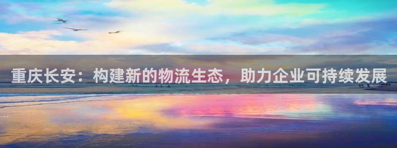 多多28官网版下载：重庆长安：构建新