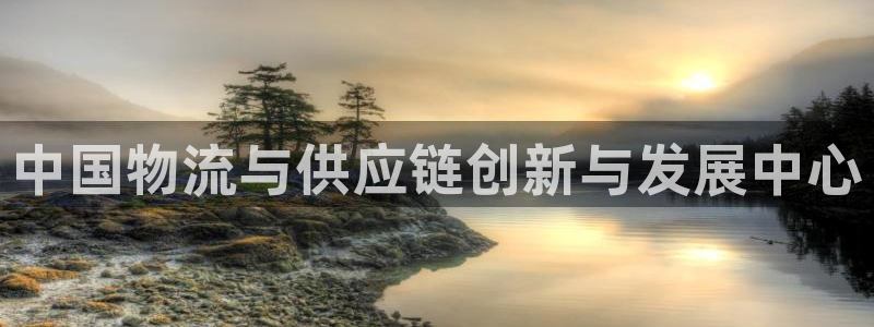 多多28app官网少林足球：中国物流