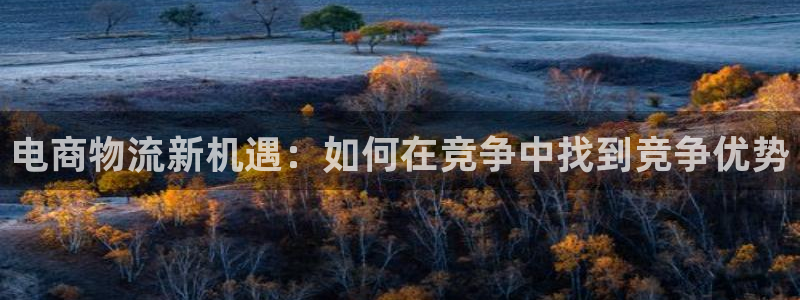 多多28官网入口pc预测:电商物流新