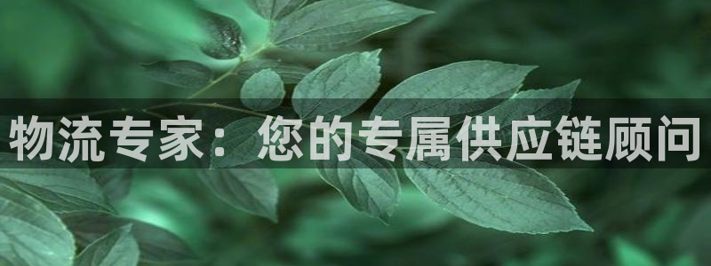 多多28注册二维码