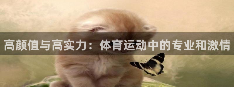 球速体育：高颜值与高实力：体育运动中的专业和激情