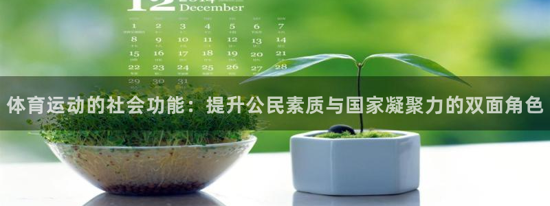 球速体育：体育运动的社会功能：提升公民素质与国家凝聚力的双面角色