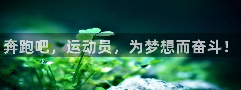 球速体育：奔跑吧，运动员，为梦想而奋斗！