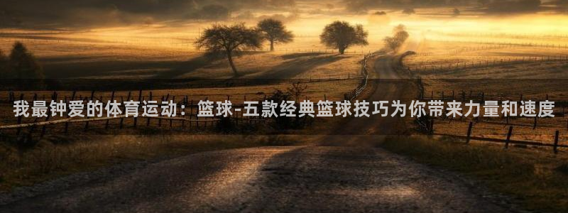 球速体育：我最钟爱的体育运动：篮球-五款经典篮球技巧为你带来力量和速度