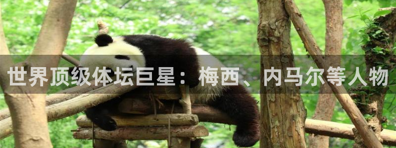 球速体育：世界顶级体坛巨星：梅西、内马尔等人物