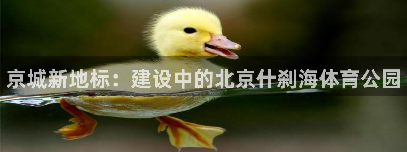 球速体育：京城新地标：建设中的北京什刹海体育公园