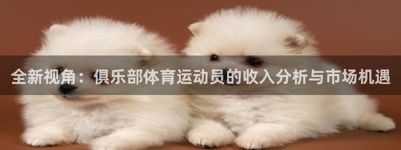 球速体育：全新视角：俱乐部体育运动员的收入分析与市场机遇