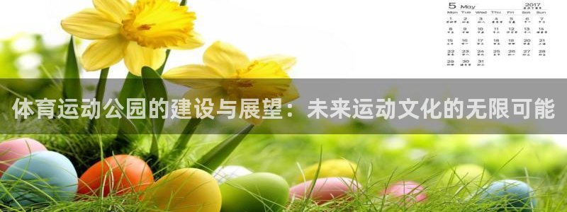 球速体育：体育运动公园的建设与展望：未来运动文化的无限可能