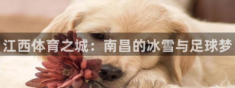 球速体育：江西体育之城：南昌的冰雪与足球梦