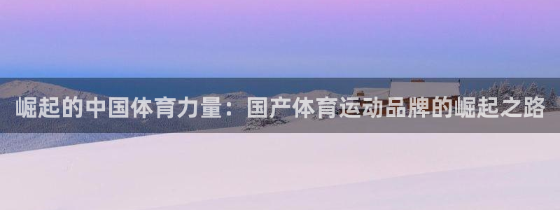 球速体育：崛起的中国体育力量：国产体育运动品牌的崛起之路