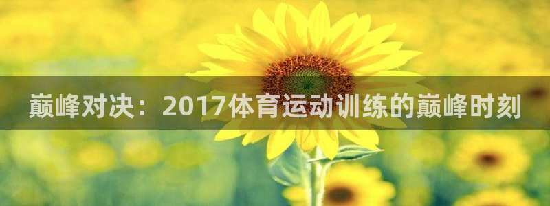 球速体育：巅峰对决：2017体育运动训练的巅峰时刻