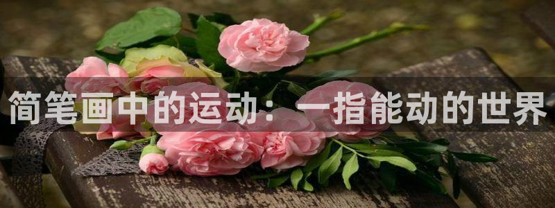 球速体育