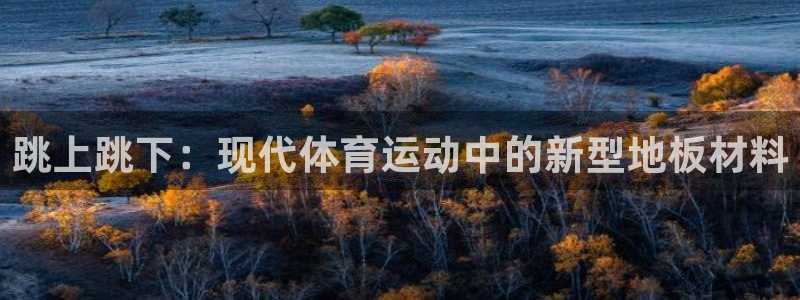 球速体育