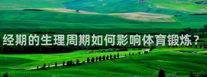 球速体育