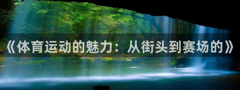 球速体育